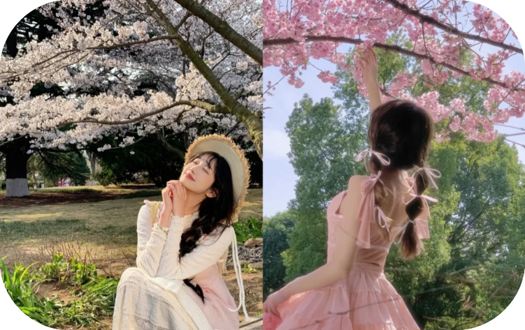 🌸高檔AV女優
