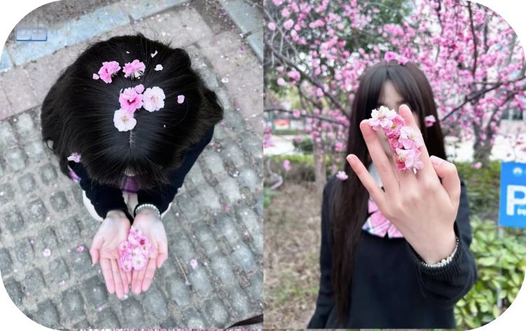 🌸夜遊討論區