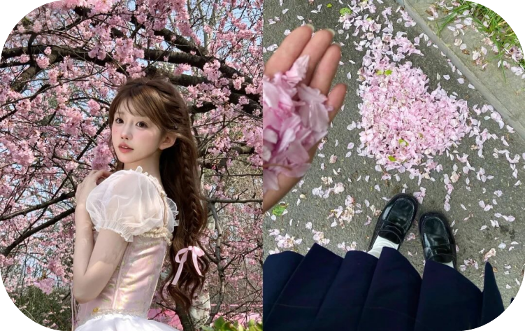 🌸東京櫻花妹出勤班表