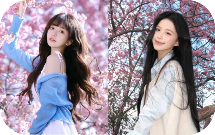 🌸大板櫻花妹出勤班表